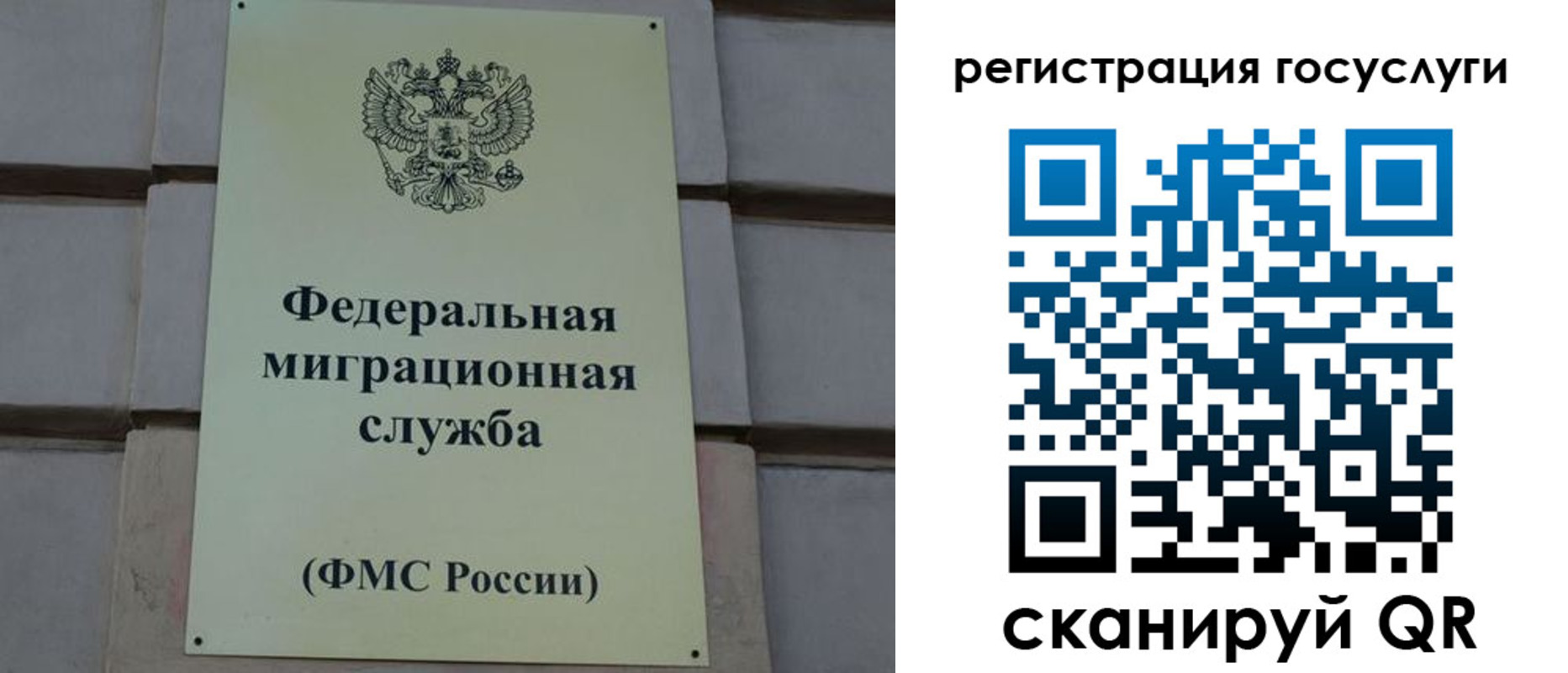 временная регистрация поиск в Омской области